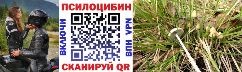 Псилоцибиновые грибы Cubensis  Джанкой 