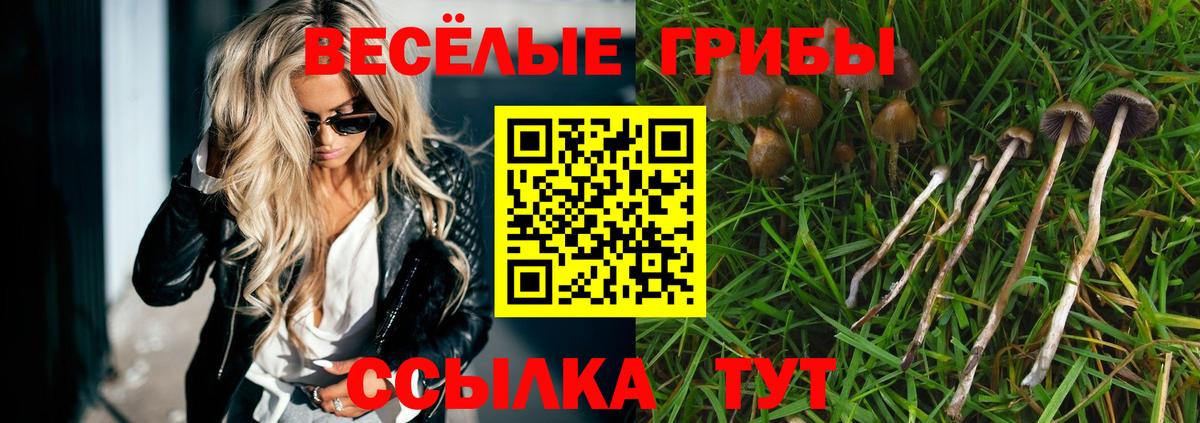 Джанкой  Псилоцибиновые грибы Psilocybe  Вход с VPN  Псилоцибиновые грибы GOLDEN TEACHER 